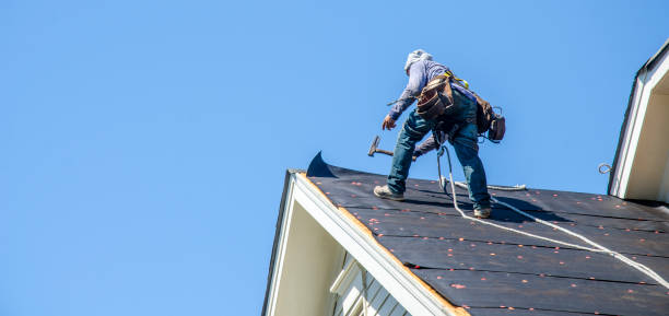Roof Gutter Cleaning in Panorama Village, TX